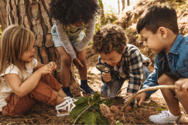 Hudson Highlands Nature Museum