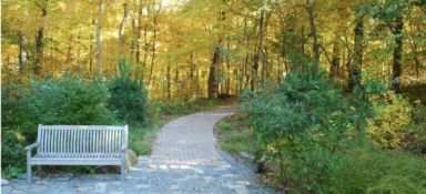 Enjoy access to nature at the Greenburgh Nature Center