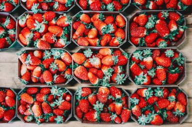 Strawberry Festivals in Westchester