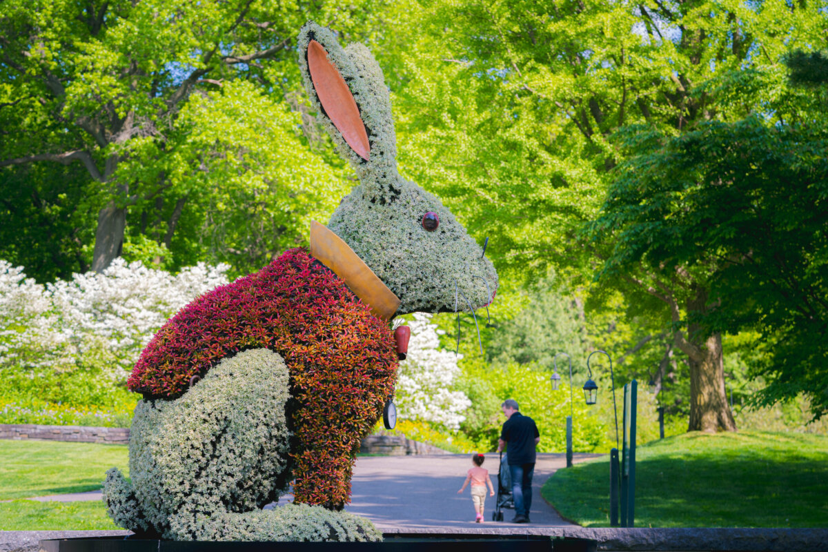 NYBG Wonderland: Curious Nature