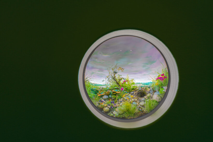 Art Exhibit