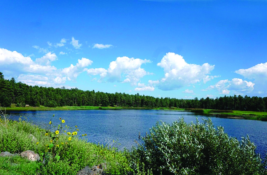 Discover Westchester County Parks Westchester Family discover-westchester-county-parks-westchester-family