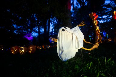 2023 Great Jack O’Lantern Blaze