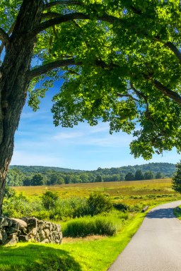 WEST_Westchester County Parks Background_SPONSOR_FUN_July_2025